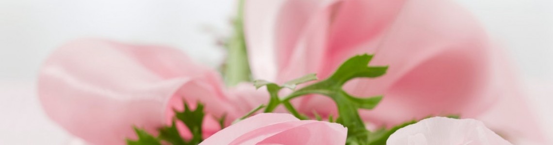 Flowers Flowers