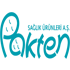 Pakten